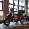 İşe gidip gelme için üç tekerlekli elektrikli scooter